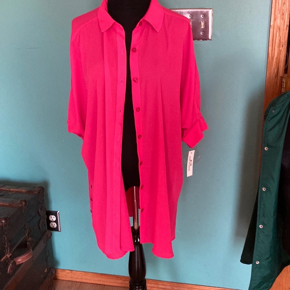 Melissa McCarthy Seven 7 Blouse Women Pink Sheer BUtton down